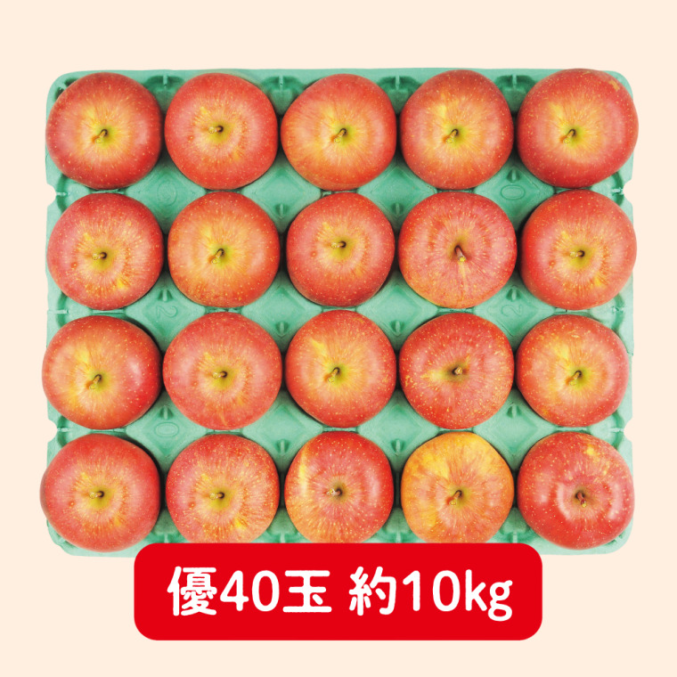 あづみ産　サンふじりんご（優 10kg 40玉）