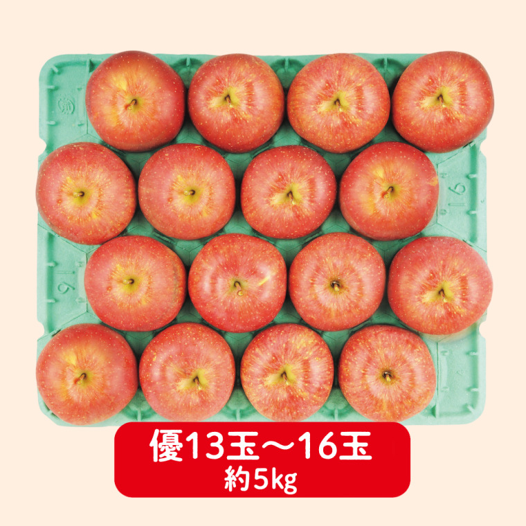 あづみ産　サンふじりんご（優 5kg 13〜16玉）