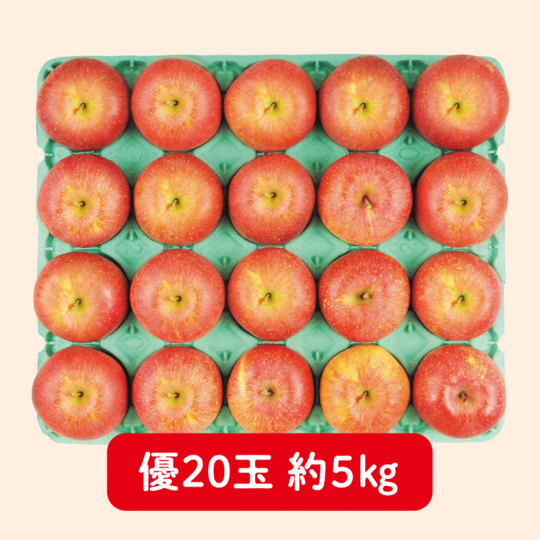 あづみ産　サンふじりんご（優 5kg 20玉）