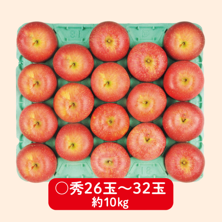 松本ハイランド産　サンふじりんご（〇秀 10kg 26〜32玉）