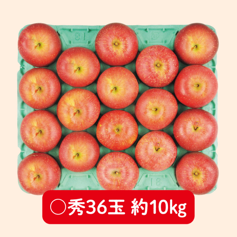 松本ハイランド産　サンふじりんご（〇秀 10kg 36玉）