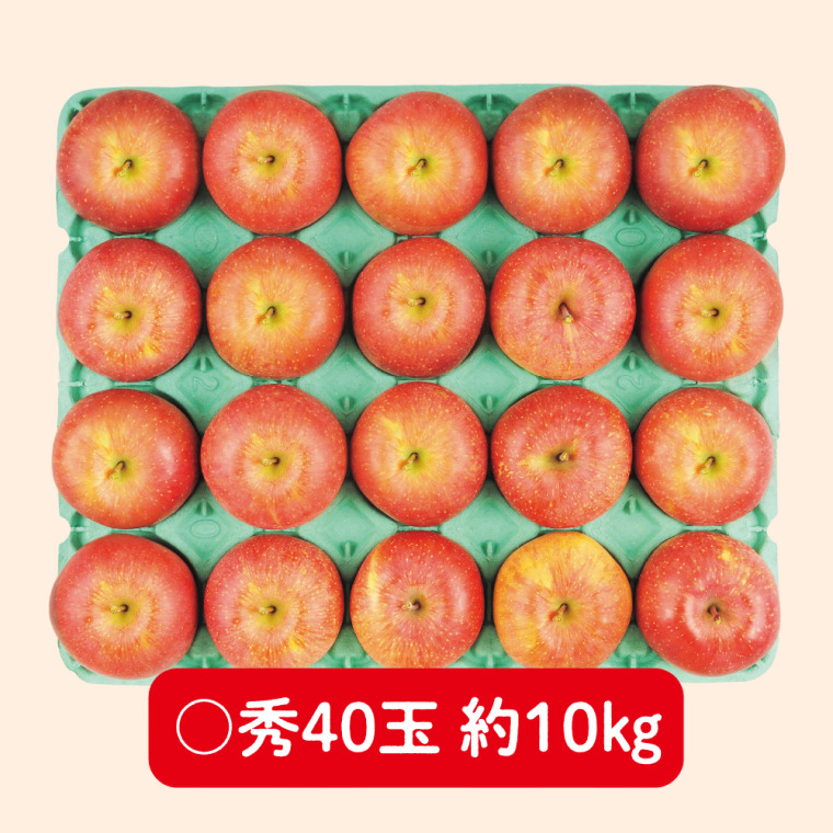 松本ハイランド産　サンふじりんご（〇秀 10kg 40玉）