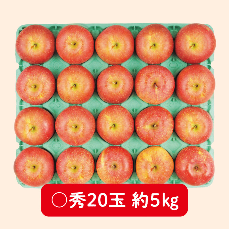 松本ハイランド産　サンふじりんご（〇秀 5kg 20玉）