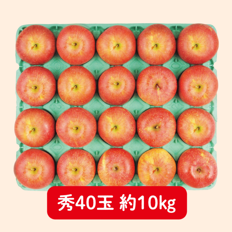 ながの（飯綱）産　サンふじりんご（秀 10kg 40玉）