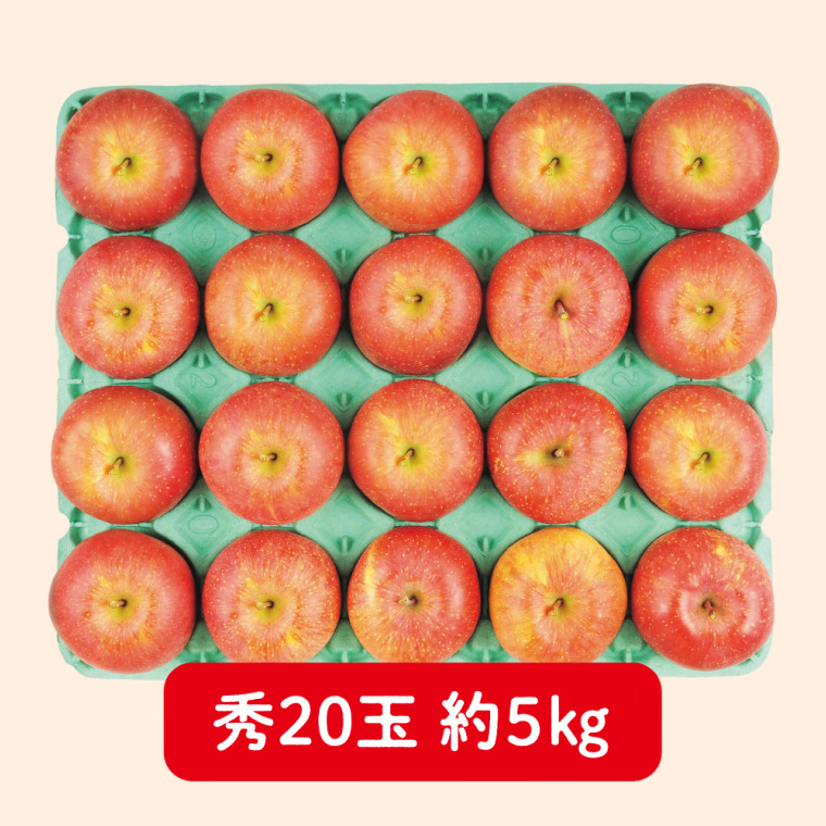 ながの（飯綱）産　サンふじりんご（秀 5kg 20玉）