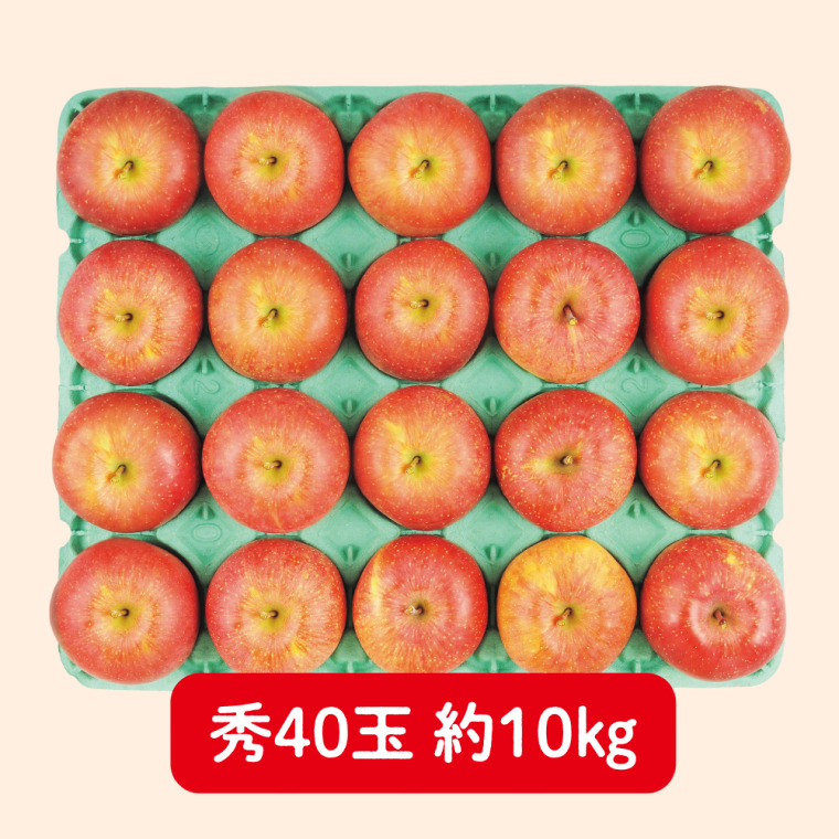 グリーン長野産　サンふじりんご（秀 10kg 40玉）