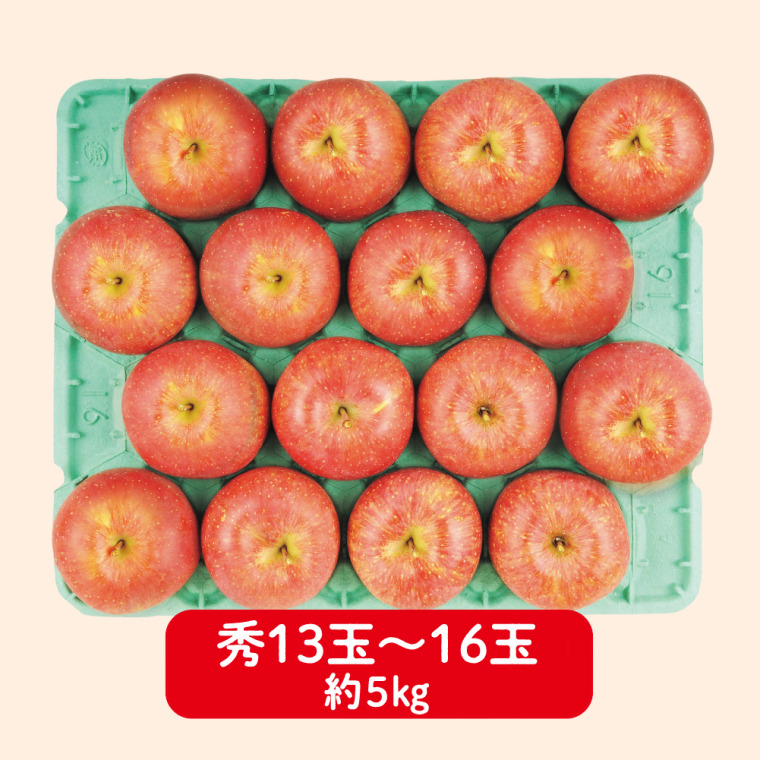 グリーン長野産　サンふじりんご（秀 5kg 13〜16玉）