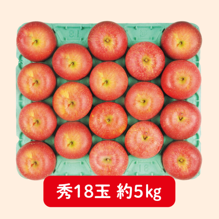 グリーン長野産　サンふじりんご（秀 5kg 18玉）