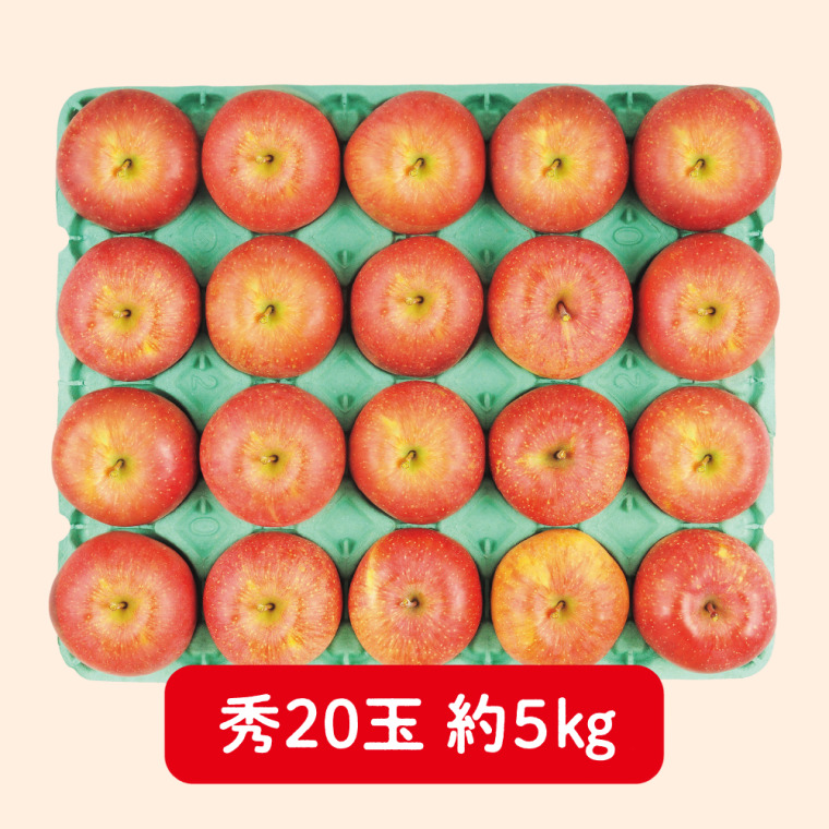 グリーン長野産　サンふじりんご（秀 5kg 20玉）