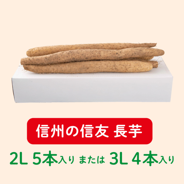 山形村産　信州の信友 長芋（2L 5本入り または 3L 4本入り）