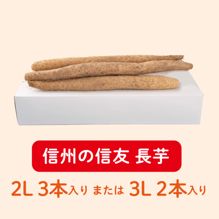松代産　信州の信友 長芋（2L 3本入り または 3L 2本入り）