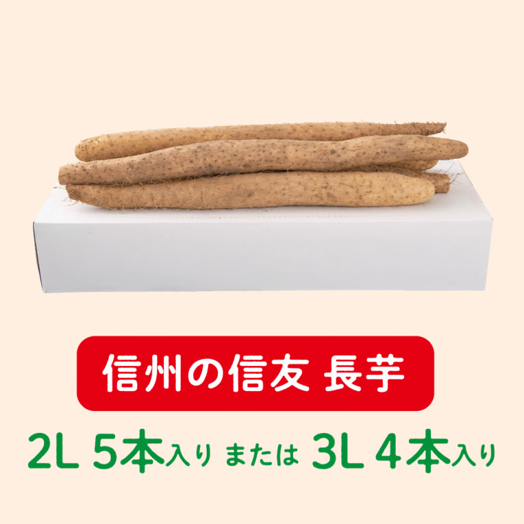 松代産　信州の信友 長芋（2L 5本入り または 3L 4本入り）