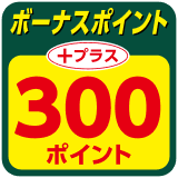 300ポイント