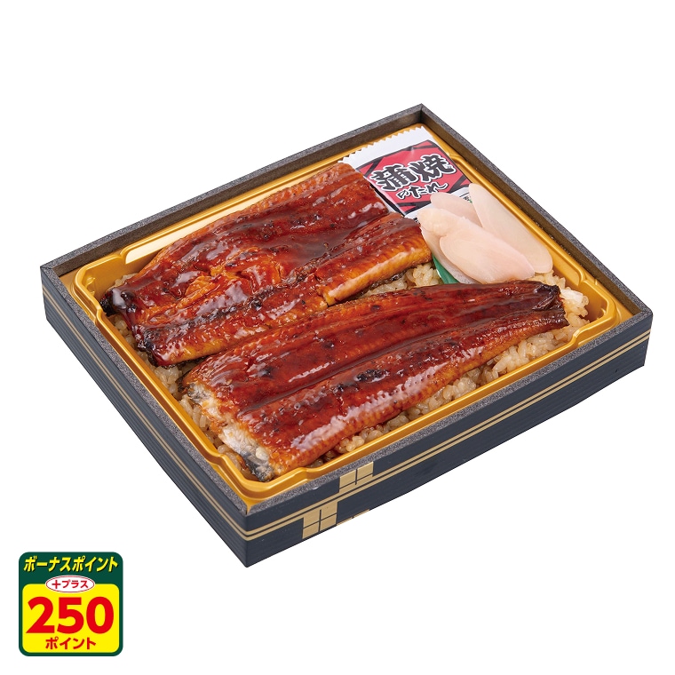 鹿児島県産うなぎ使用のうな重（大）